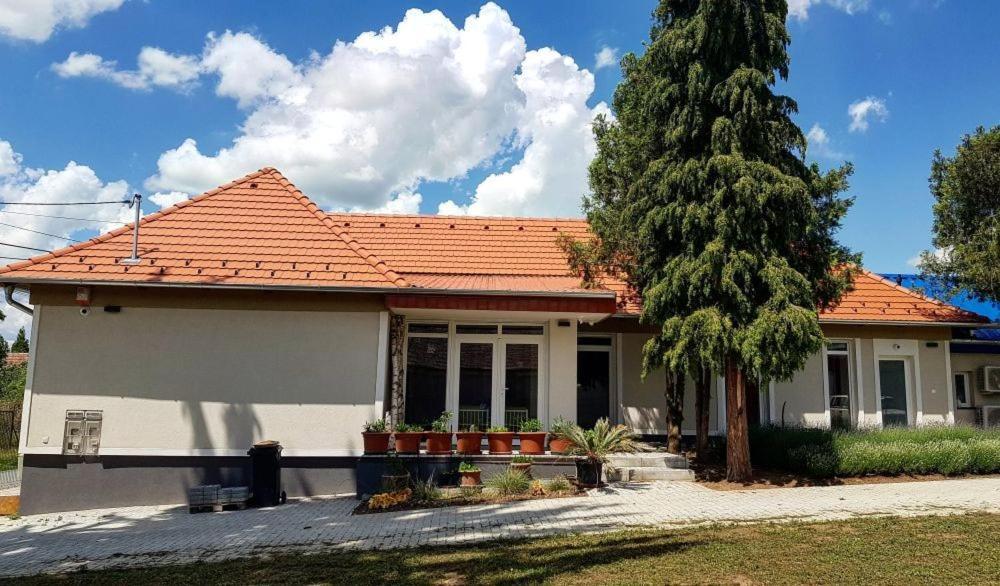 Dioliget Daire Ohid Dış mekan fotoğraf